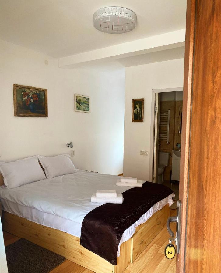 Ullysses Guest House Брашов Екстер'єр фото